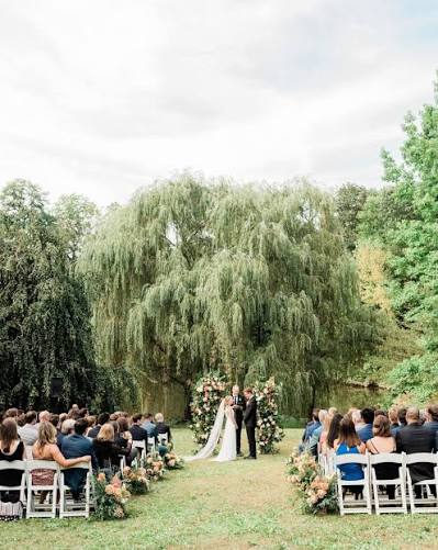 Under the willow